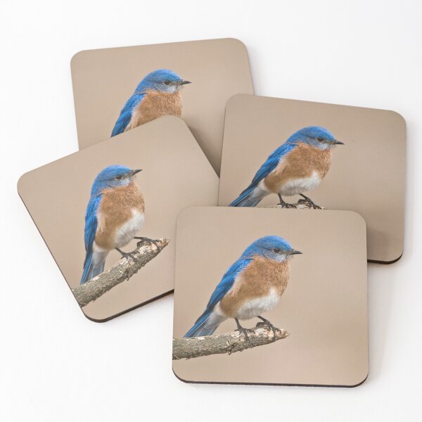 Item preview, Eastern Bluebird designed and sold by Raymond J Barlow.