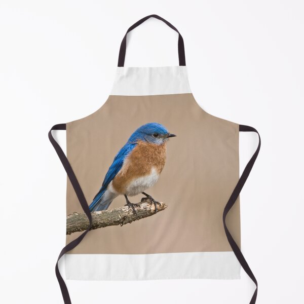 Item preview, Eastern Bluebird designed and sold by Raymond J Barlow.