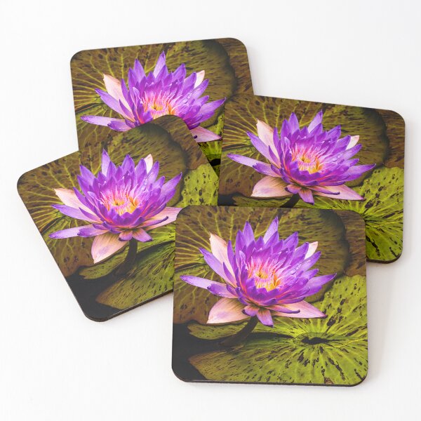 Item preview, Water lily designed and sold by Floraphernalia.