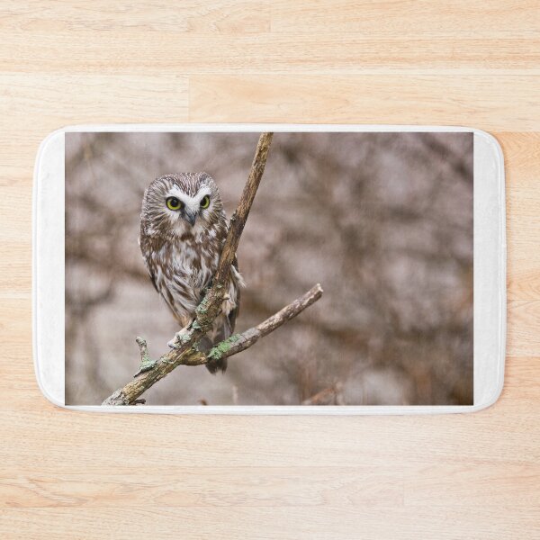 Item preview, Saw-whet Owl 3 - Ontario, Canada designed and sold by Raymond J Barlow.