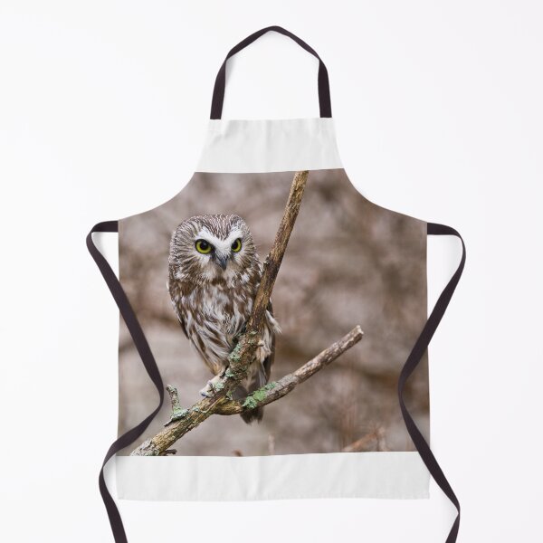 Item preview, Saw-whet Owl 3 - Ontario, Canada designed and sold by Raymond J Barlow.