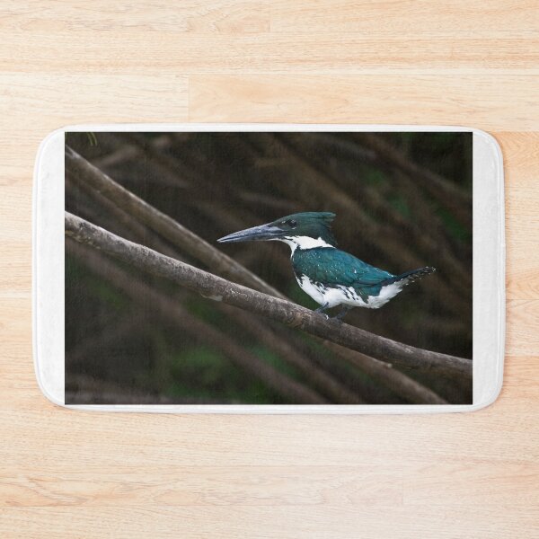 Item preview, Amazon Kingfisher - Costa Rica designed and sold by Raymond J Barlow.