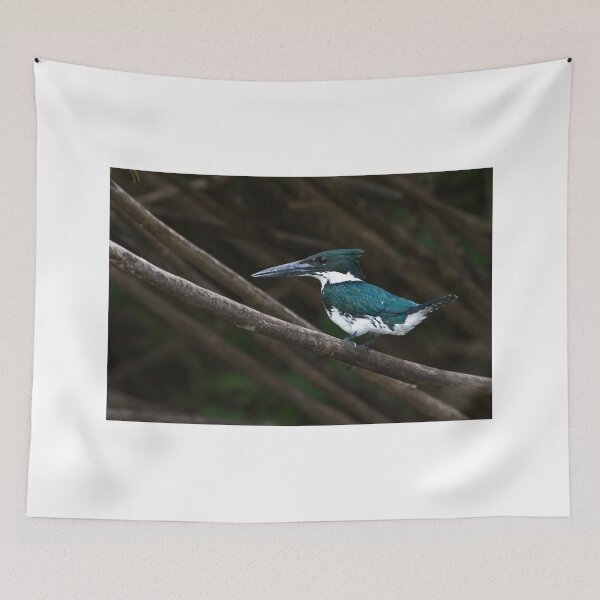 Item preview, Amazon Kingfisher - Costa Rica designed and sold by Raymond J Barlow.