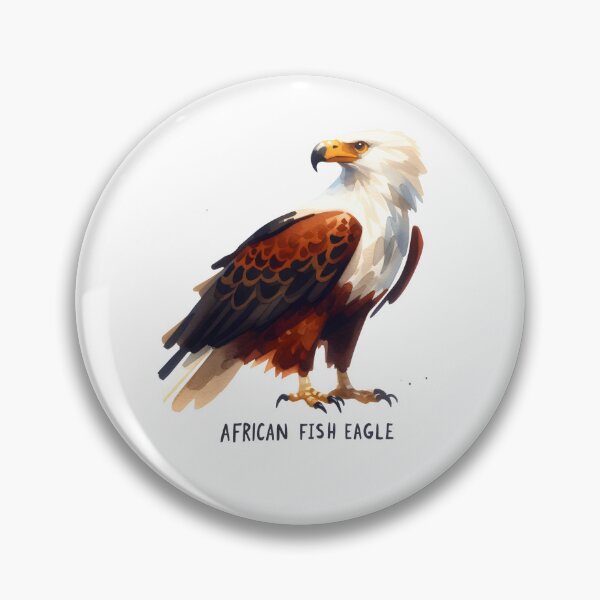 Aperçu de l'œuvre Majestueux Aigle Poisson Africain - Aquarelle Artistique créée et vendue par KNAA.
