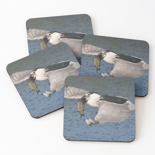 Item preview, Black-crowned Night Heron - Hamilton, Ontario, Canada designed and sold by Raymond J Barlow.