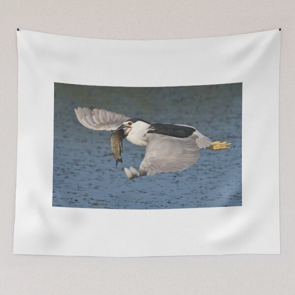 Item preview, Black-crowned Night Heron - Hamilton, Ontario, Canada designed and sold by Raymond J Barlow.