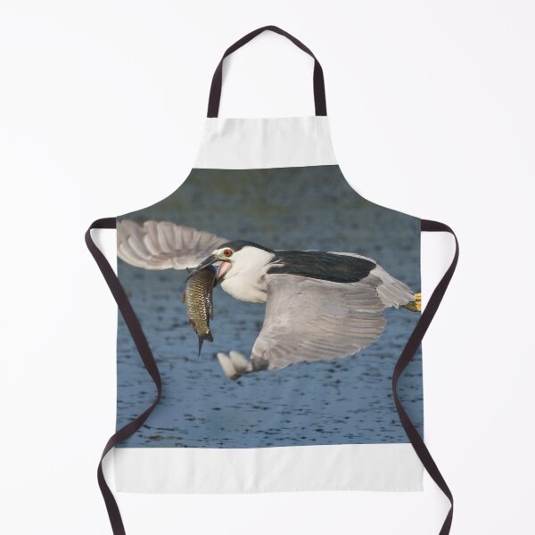 Item preview, Black-crowned Night Heron - Hamilton, Ontario, Canada designed and sold by Raymond J Barlow.