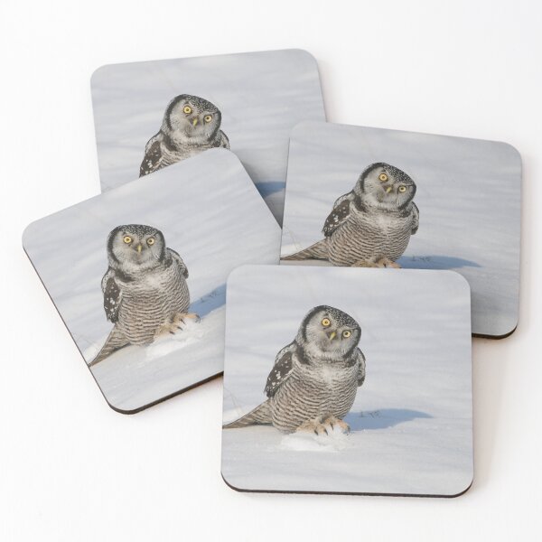 Item preview, Northern Hawk Owl - Stoney Creek Ontario, Canada designed and sold by Raymond J Barlow.