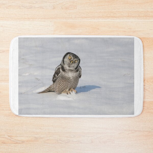 Item preview, Northern Hawk Owl - Stoney Creek Ontario, Canada designed and sold by Raymond J Barlow.