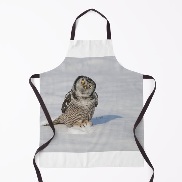 Item preview, Northern Hawk Owl - Stoney Creek Ontario, Canada designed and sold by Raymond J Barlow.