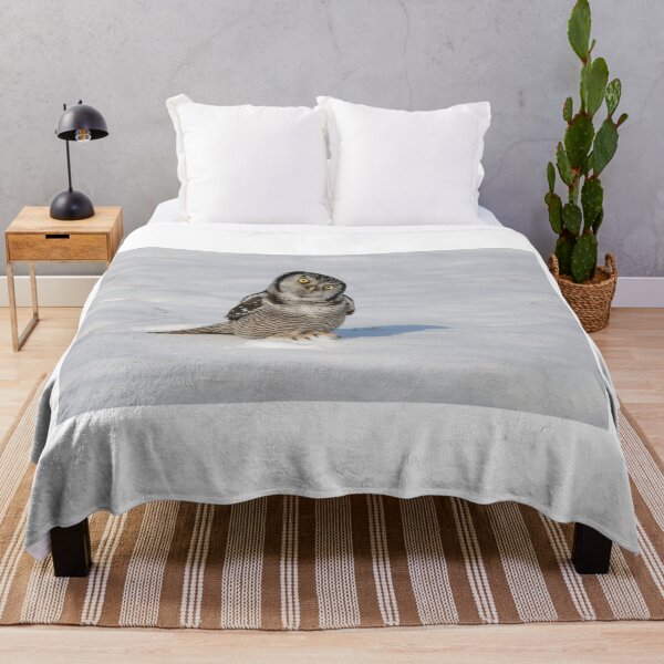 Item preview, Northern Hawk Owl - Stoney Creek Ontario, Canada designed and sold by Raymond J Barlow.