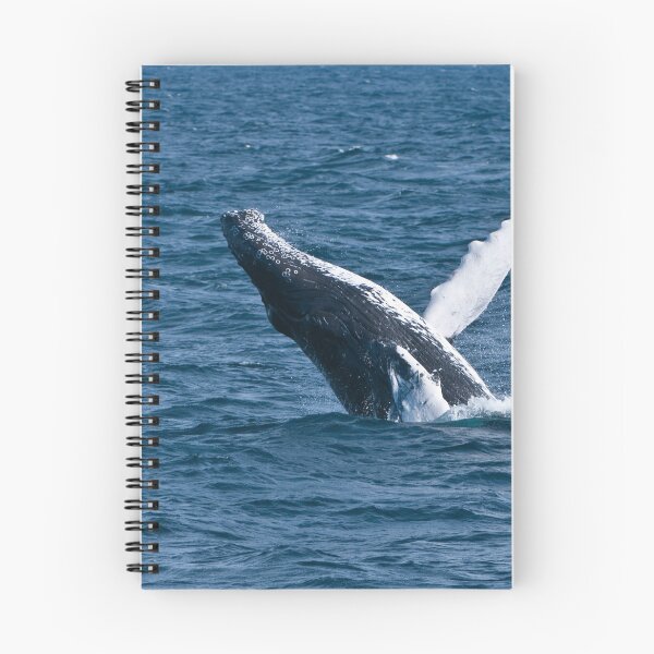 Item preview, Humpback Whale - Newfoundland, Canada designed and sold by Raymond J Barlow.