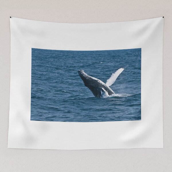 Item preview, Humpback Whale - Newfoundland, Canada designed and sold by Raymond J Barlow.