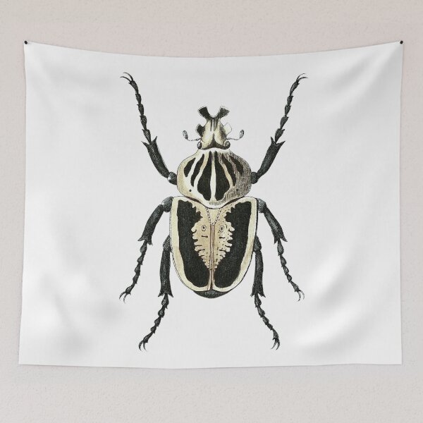 Item preview, Beetle II designed and sold by diologic.