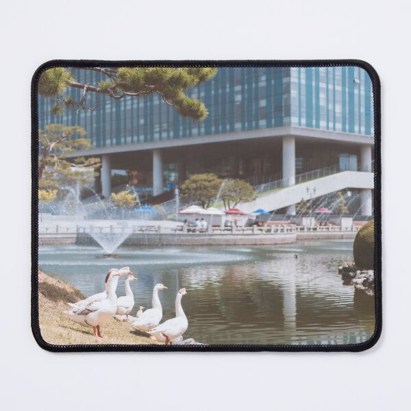 Item preview, Ducks in KAIST, Korea, transparent, emotional designed and sold by JOYM0610.