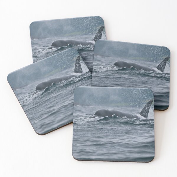 Item preview, Orca  at Newfoundland, Canada designed and sold by Raymond J Barlow.