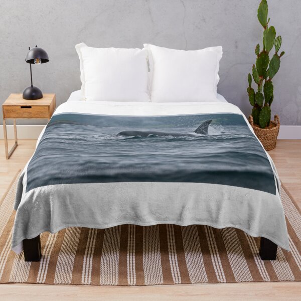 Item preview, Orca  at Newfoundland, Canada designed and sold by Raymond J Barlow.