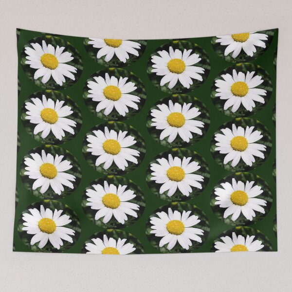 Item preview, A small daisy, a white flower, growing in the grass designed and sold by ElenaHrubes.