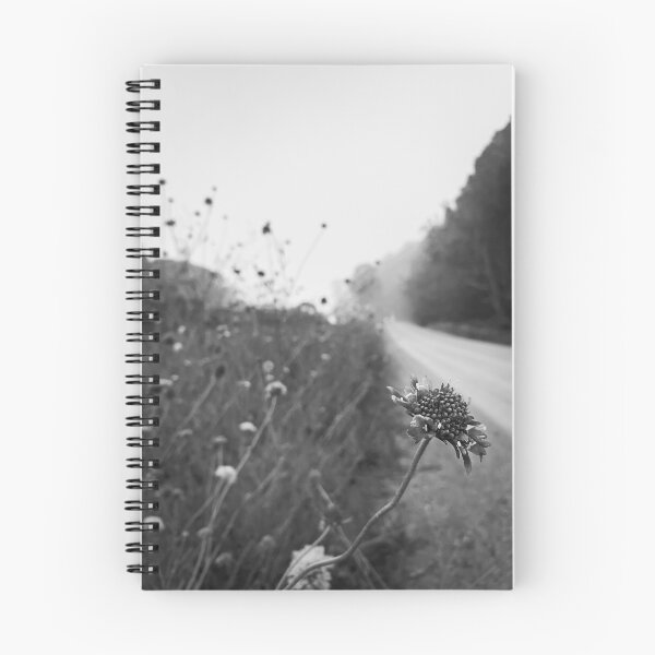 Item preview, Roadside (Inman Valley, SA) designed and sold by FJMTHOMPSON49.