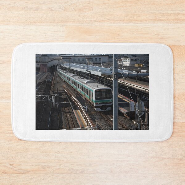 Item preview, Winding Train (E231 series Narita Line, at Ueno) designed and sold by LPYLPhotography.