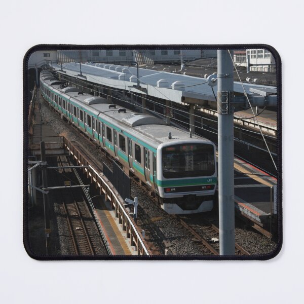 Item preview, Winding Train (E231 series Narita Line, at Ueno) designed and sold by LPYLPhotography.