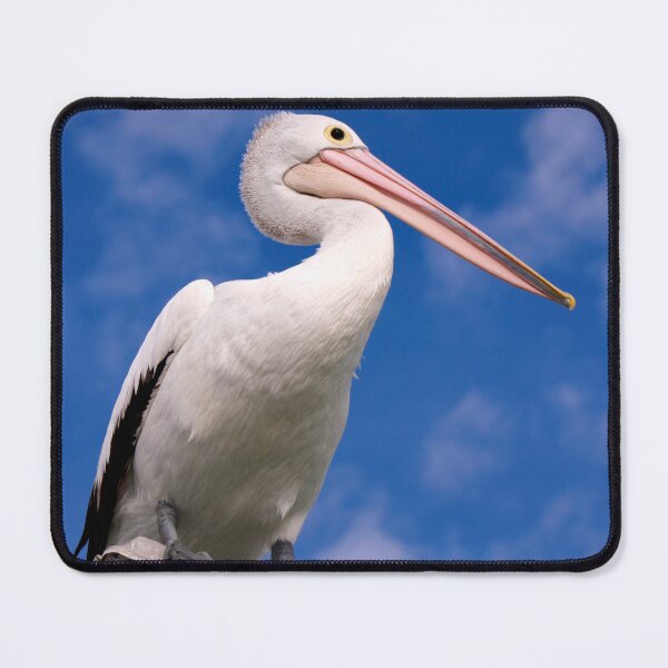 Item preview, Pelican on lookout designed and sold by jwwallace.