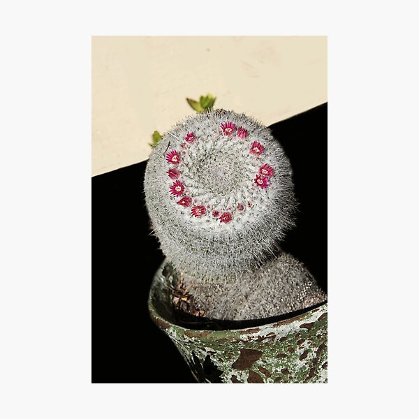 Item preview, In Bloom designed and sold by heatherfriedman.