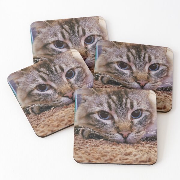 Item preview, Content kitty designed and sold by Ram-studios.