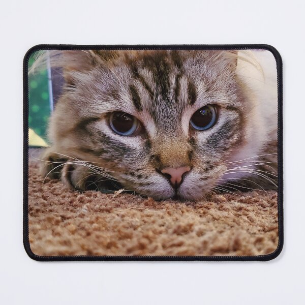 Item preview, Content kitty designed and sold by Ram-studios.