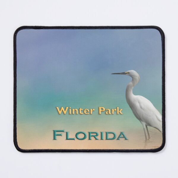 Item preview, Egret Winter Park FL designed and sold by Elisabeth Lucas.