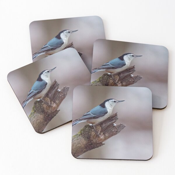 Item preview, White breasted nuthatch designed and sold by Raymond J Barlow.