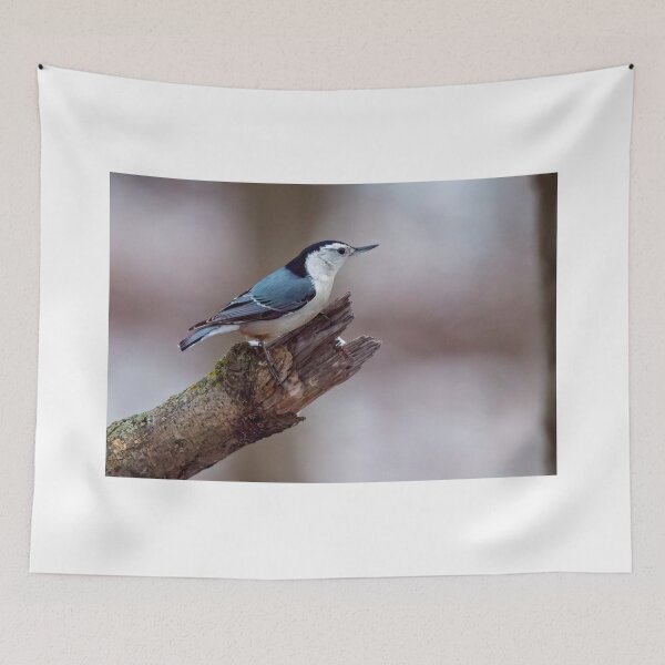 Item preview, White breasted nuthatch designed and sold by Raymond J Barlow.