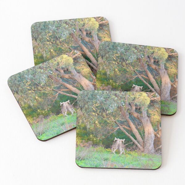 Item preview, Eastern Grey Kangaroos boxing designed and sold by cbrpix.