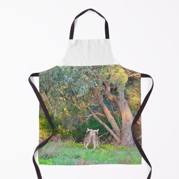 Item preview, Eastern Grey Kangaroos boxing designed and sold by cbrpix.
