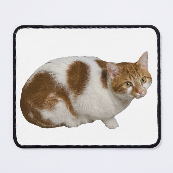 Item preview, Cat Called Pumpkin Cutie Cat Loaf  designed and sold by PumpkinsMomb.