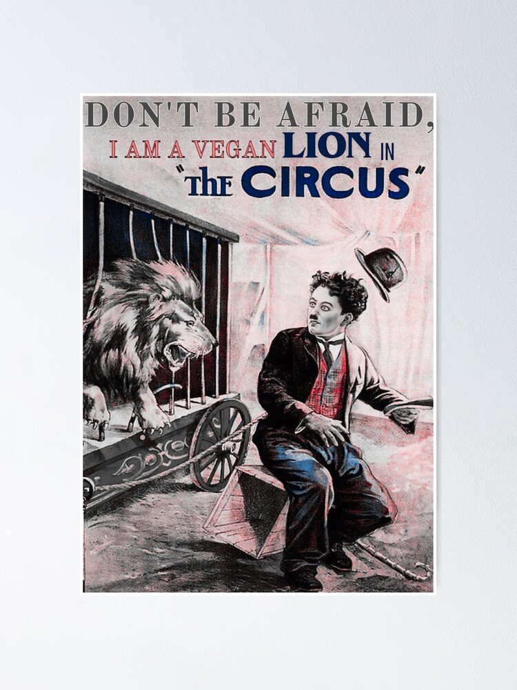 Thumbnail 1 of 3, Poster, Lion in the circus funny meme with Charlie Chaplin in 1928 designed and sold by Coollzone.