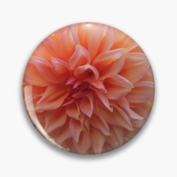 Item preview, Pale Orange Dahlia designed and sold by Claire L Page Photography.