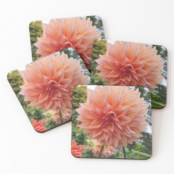 Item preview, Pale Orange Dahlia designed and sold by Claire L Page Photography.