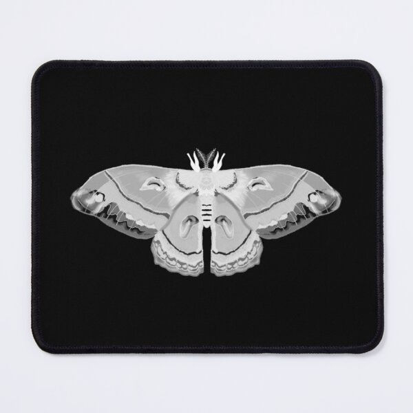 Item preview, white cecropia moth designed and sold by cascinas.
