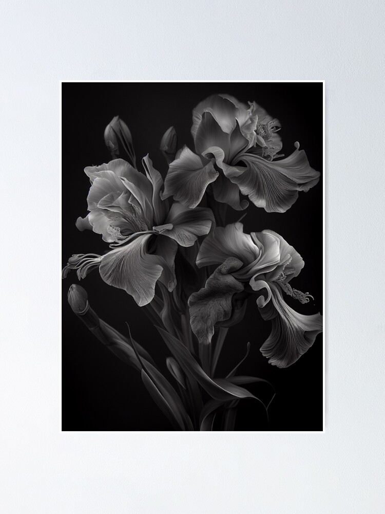 Iris Inner Grace | good Nature Photography | Flower Wall Decor | Iris Photography Print