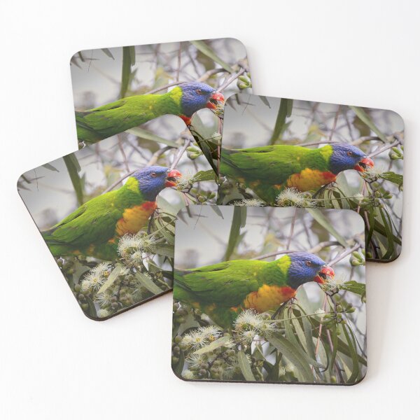 Item preview, Rainbow lorikeet chomping - bird designed and sold by Tara Smithson.