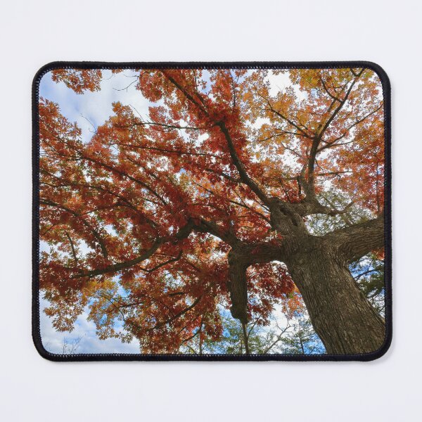 Item preview, St. Croix Boom Site State Wayside designed and sold by Designed by Southern Minnesota Guy.