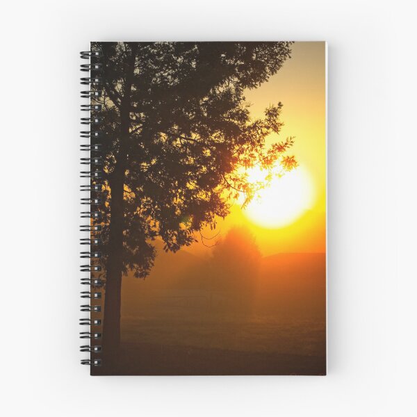 Item preview, A Morning in Franklin (ACT/Australia) (4) designed and sold by Wolf Sverak Photography.