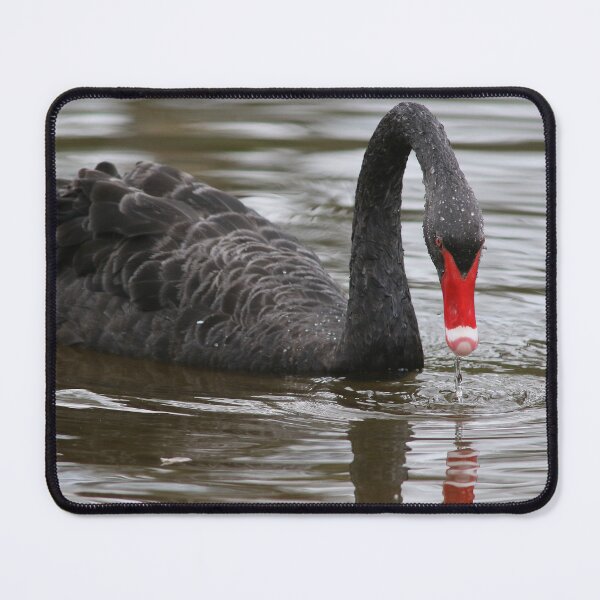 Item preview, Evening Feast designed and sold by Phillip Weyers.