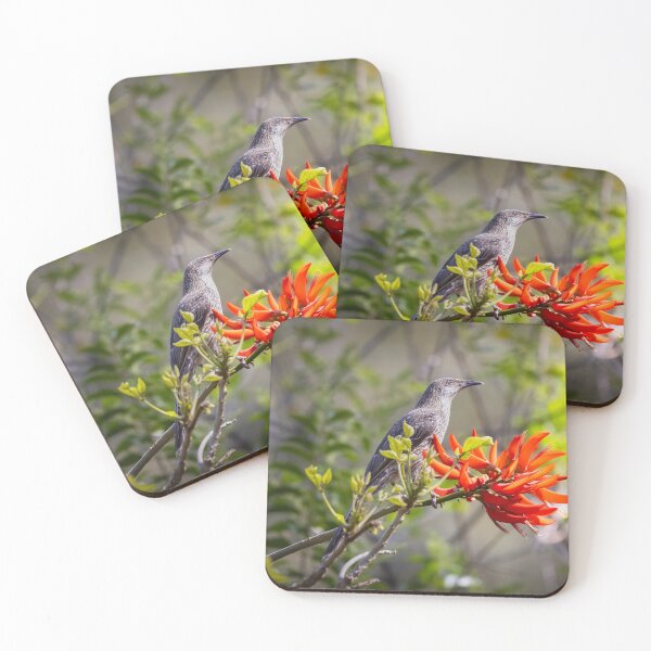 Item preview, Little wattlebird in the sunset light - bird designed and sold by Tara Smithson.