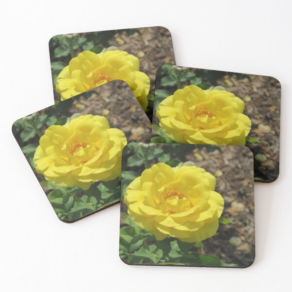 Item preview, Yellow Rose designed and sold by SpookyCatHouse.
