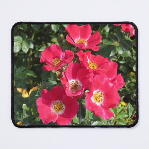 Item preview, Sweet Rose designed and sold by SpookyCatHouse.