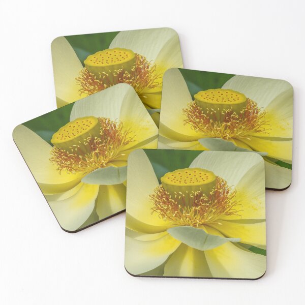 Item preview, Yellow Lotus Flower display designed and sold by Kathie Thomas.