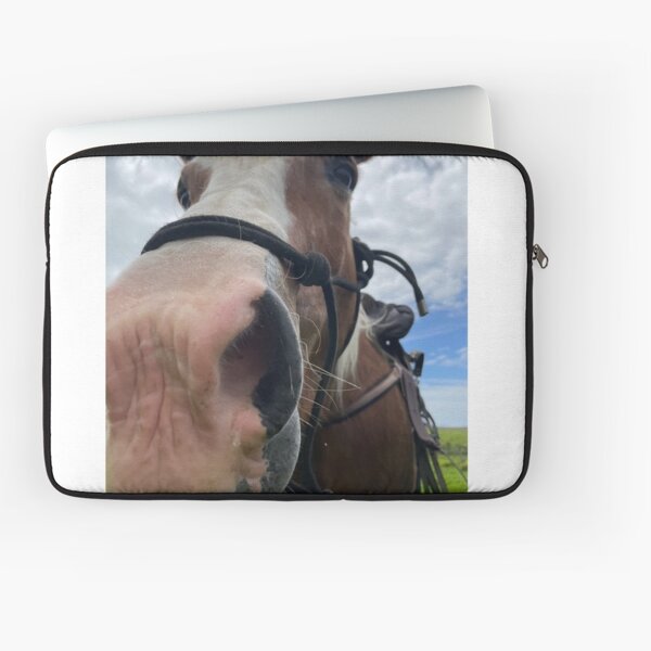Aperçu de l'œuvre Boop de nez de cheval créée et vendue par SpookyCatHouse.