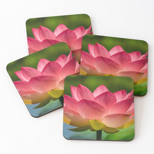 Item preview, Pink Lotus Flower designed and sold by Kathie Thomas.